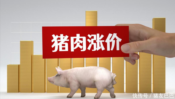 国内配资官网 一夜“降温”，猪价涨跌“停滞”！附：2025年5月3日猪价