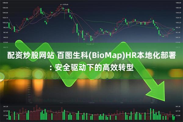 配资炒股网站 百图生科(BioMap)HR本地化部署: 安全驱动下的高效转型