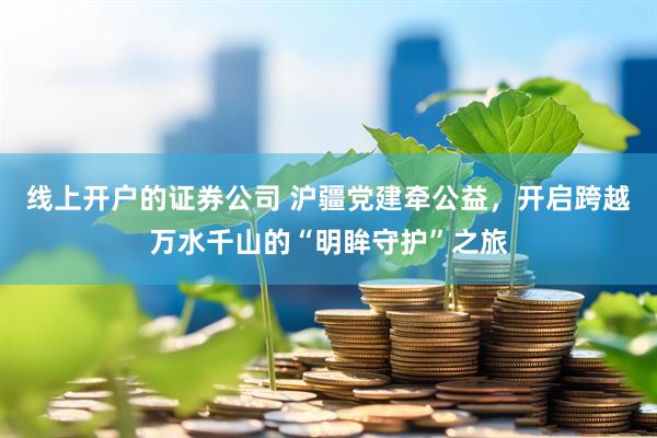 线上开户的证券公司 沪疆党建牵公益，开启跨越万水千山的“明眸守护”之旅