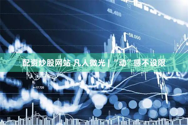 配资炒股网站 凡人微光 | “动”感不设限
