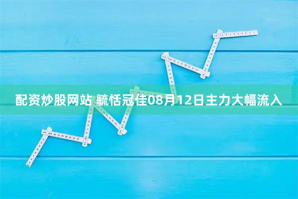 配资炒股网站 毓恬冠佳08月12日主力大幅流入
